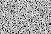 Polyethersulfone Membrane Filters - Type 15407- 0.2 µm pore size- 50 mm diameter- 100 pieces per pack